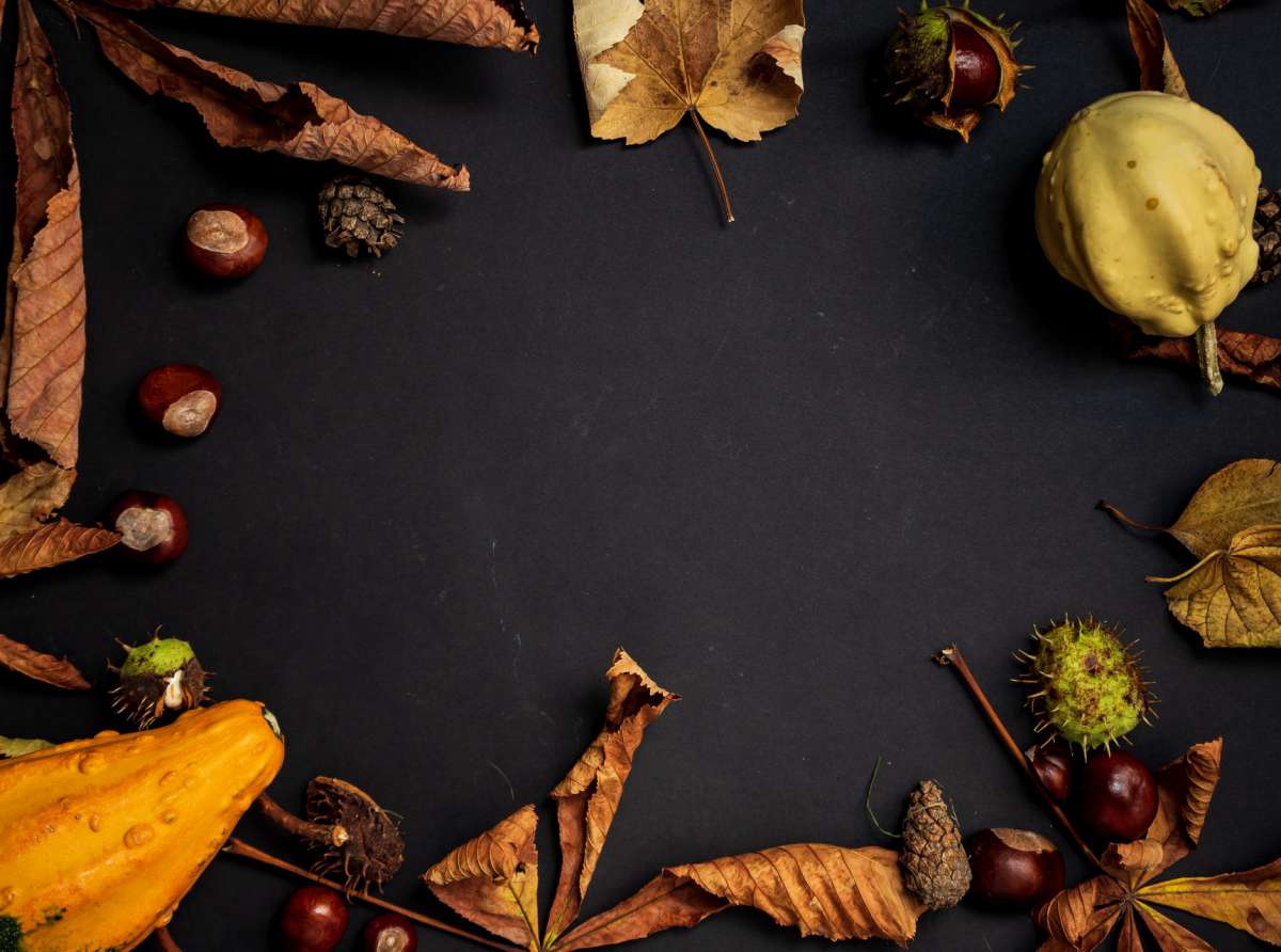 #AvignoFest: 25° Festa d'Autunno